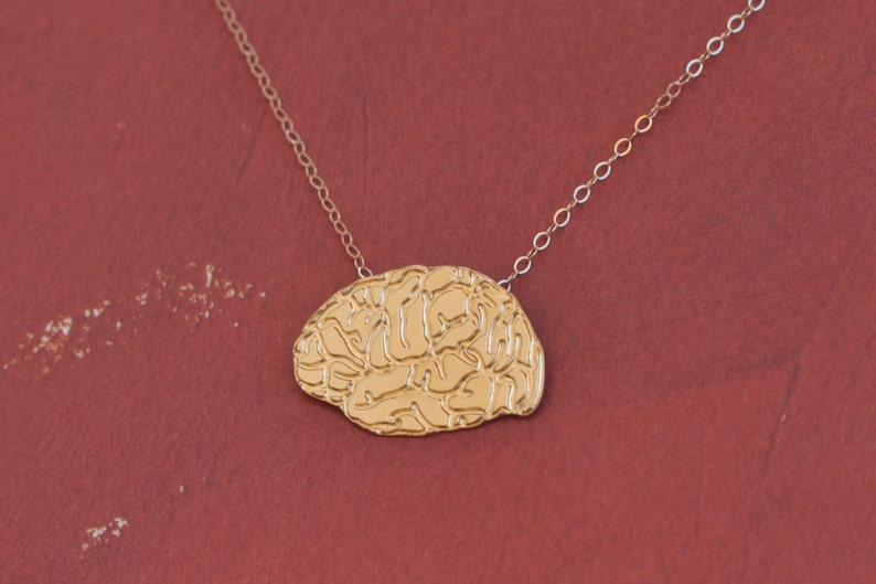 Gold Brain Necklace Anatomical Brain Jewelry Human Brain Etsy