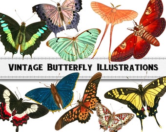 Free Free Vintage Butterfly Svg 76 SVG PNG EPS DXF File