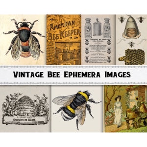 May include: Vintage illustrations of bees and beekeeping equipment. Images include a beehive, honeycomb, jars of honey, and bees in various poses. The text "The American Bee Keeper" is featured on one of the images.