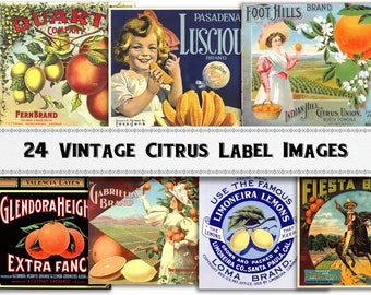 Op de afbeelding: Een verzameling van 24 vintage citrusfruit-etiketten. De etiketten bevatten illustraties van sinaasappelen, citroenen en grapefruit, samen met tekst die merknamen, productbeschrijvingen en locaties omvat. De etiketten zijn in verschillende stijlen en kleuren, en sommige bevatten afbeeldingen van mensen of landschappen.