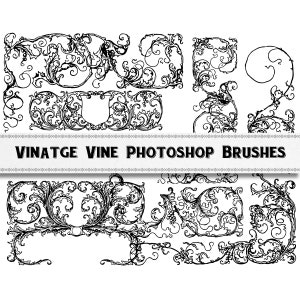 Vintage Botanical Vine Leaf Border Photoshop Brushes / Digital Download / Commercial Use / Plant Border Overlays