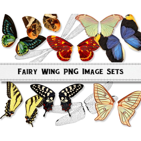 Vintage Fairy Wing Butterfly Illustration PNG Images, Digital Download, Commercial Use, Dragonfly Wing Clipart