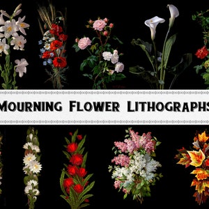 Victorian Mourning Black Flower Lithograph Images / Digital Download / Commercial Use / Floral Clipart
