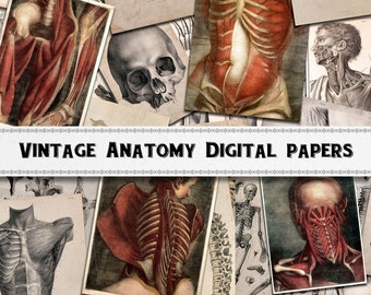 Vintage Human Anatomy Digital Papers / Skeleton Scrapbook Journal / Halloween Download / Commercial Use Included
