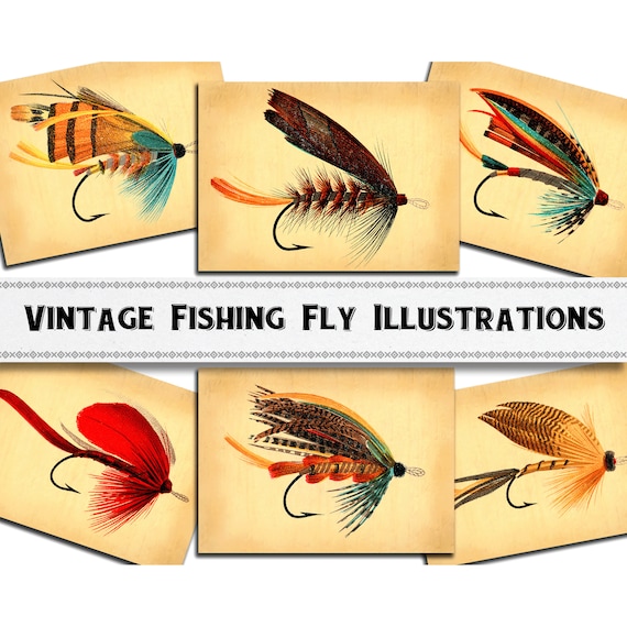 Vintage Fishing Fly Illustrations / Digital Download / Commercial Use /  Fishing Clipart 