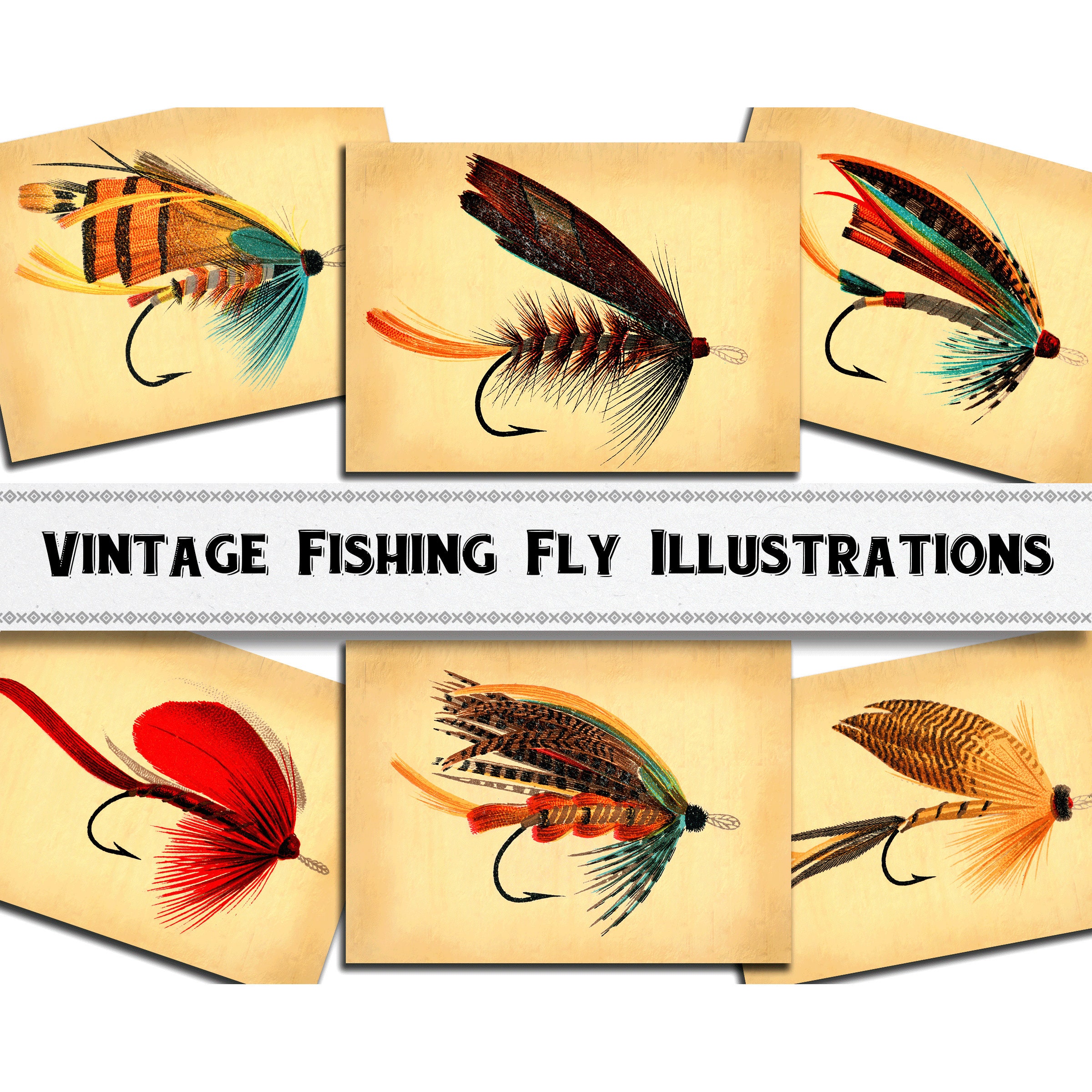 Vintage Fishing Fly Illustrations / Digital Download / Commercial