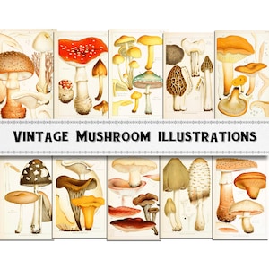 Vintage Mushroom Illustration Prints: Botanical Ephemera (Digital Download)