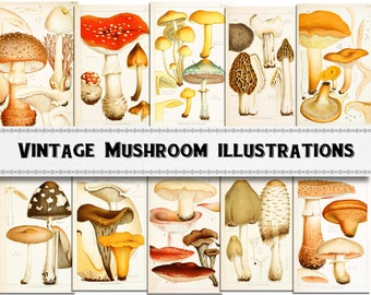 Vintage Mushroom Illustration Images / Digital Download / Commercial Use / Mushroom Printable / Digital Ephemera Kit