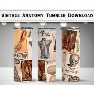 Vintage Human Anatomy Wrap 1, Skinny 20oz Tumbler, Sublimation Design, Digital Download, Printable PNG