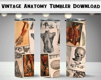 Vintage Human Anatomy Wrap 1, Skinny 20oz Tumbler, Sublimation Design, Digital Download, Printable PNG