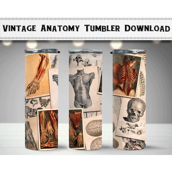 Vintage Human Anatomy Wrap 1, Skinny 20oz Tumbler, Sublimation Design, Digital Download, Printable PNG