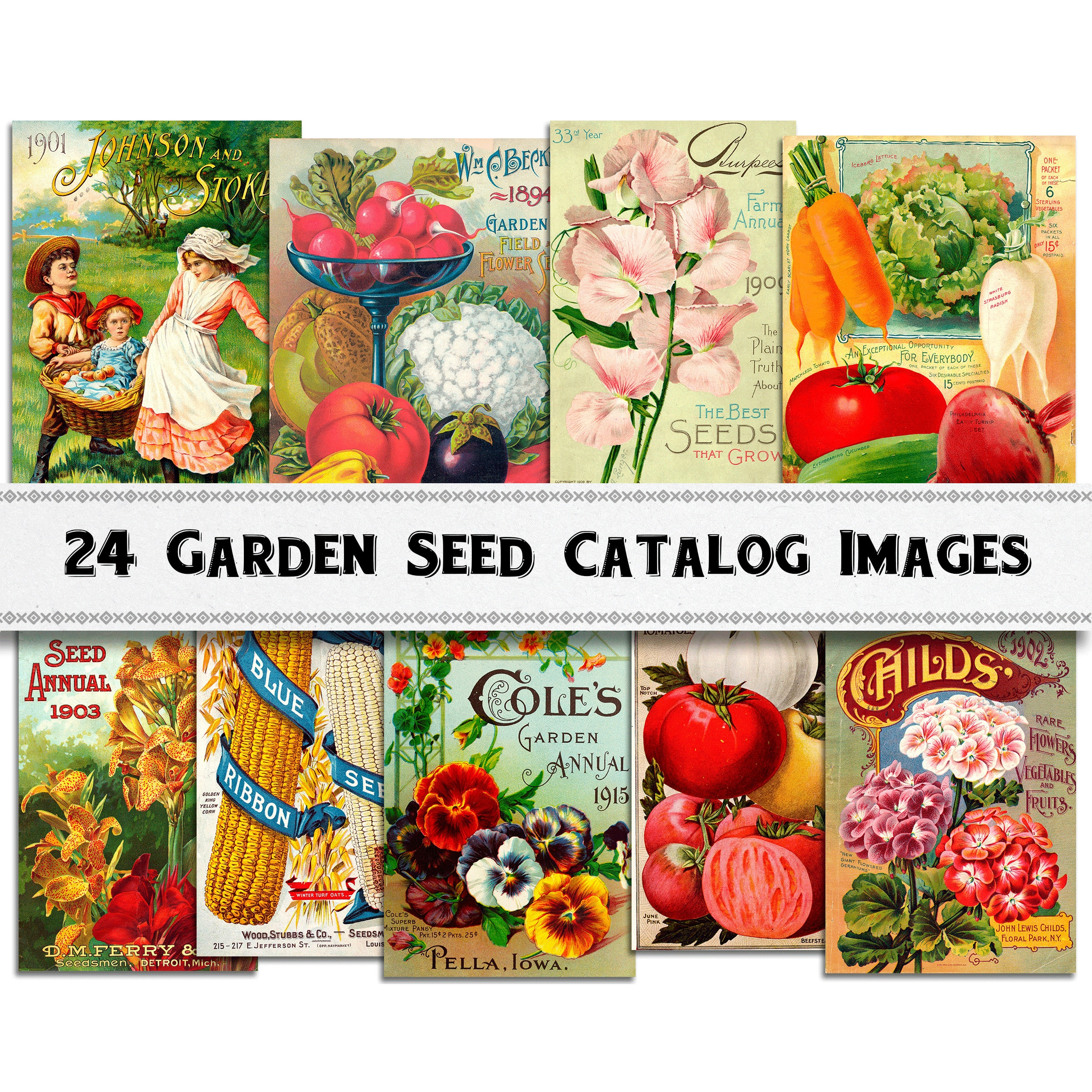 Garden Seed Catalog Images / Digital Download / Commercial Use / Clipart -  Etsy