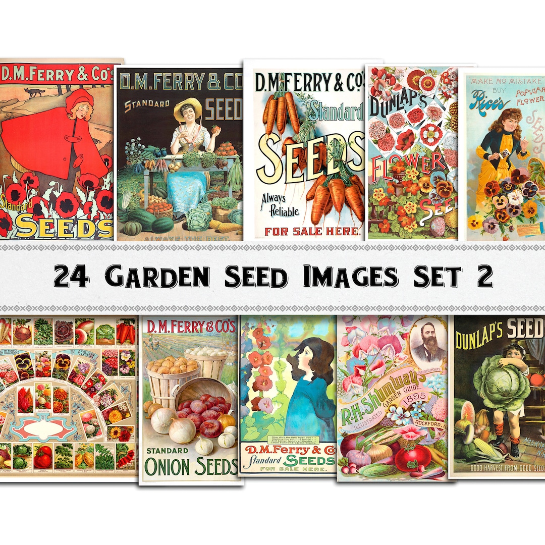 Garden Seed Catalog Images Set 2 / Digital Download / Commercial Use