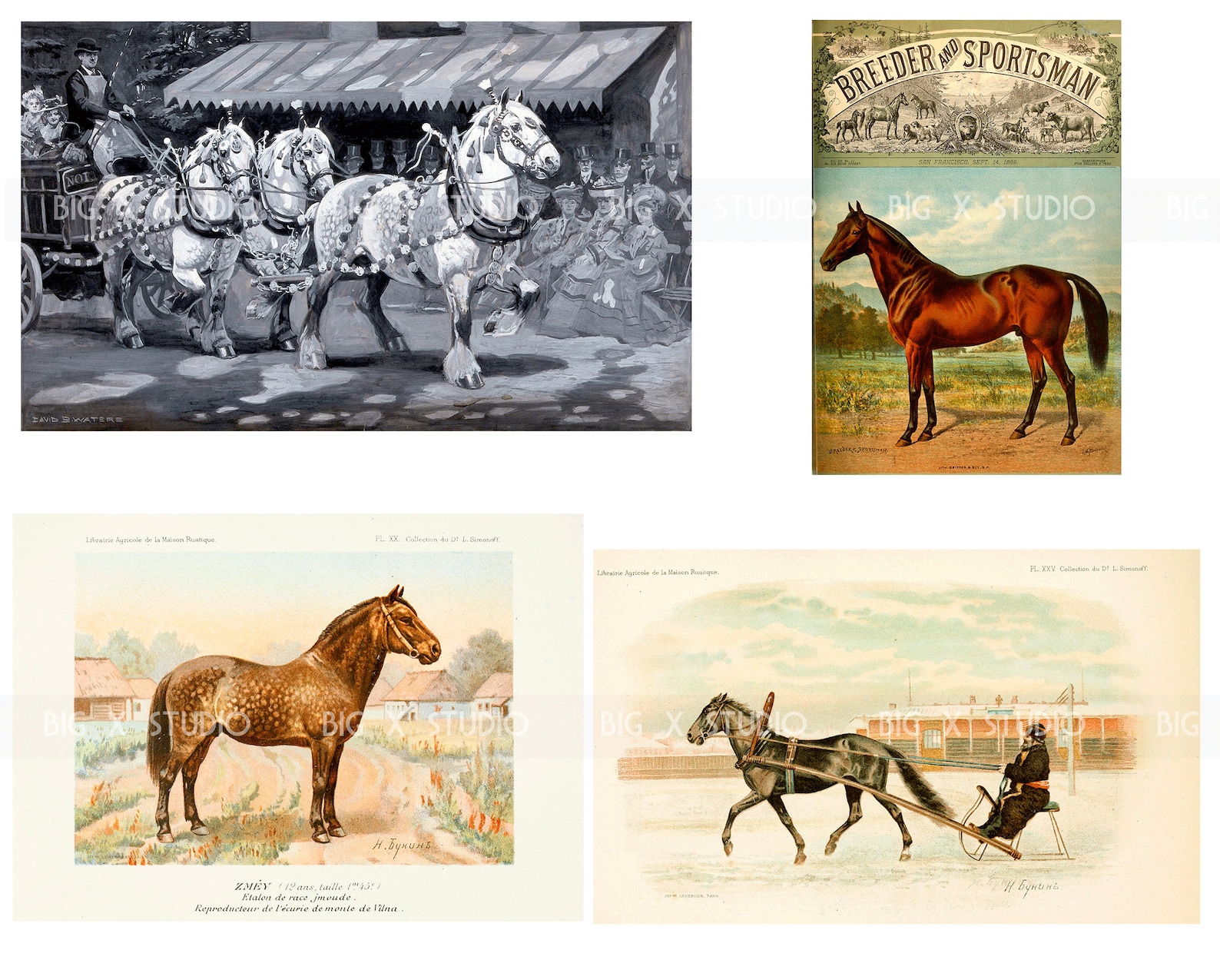 Vintage Horse Print Images / Equestrian Images / Commercial - Etsy