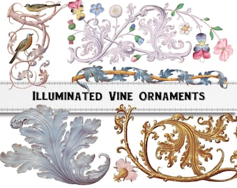 Medieval Illuminated Manuscript Vine and Leaf Ornaments, Digital Download, Commercial Use Clipart, Knotwork Borders