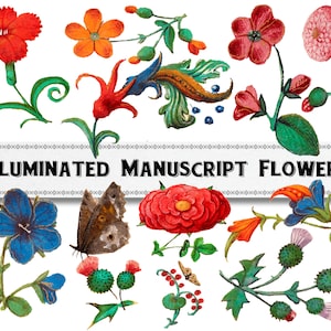 May include: A collection of colorful, hand-painted flowers and a butterfly, with the text "Illuminated Manuscript Flowers" at the top.