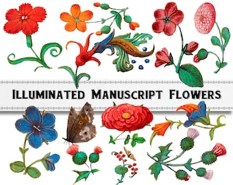 Può includere: Una collezione di fiori colorati dipinti a mano e una farfalla, con il testo "Illuminated Manuscript Flowers" in alto.