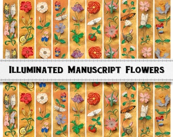 中世の花柄金箔ボーダー：装飾写本クリップアート（デジタルダウンロード）