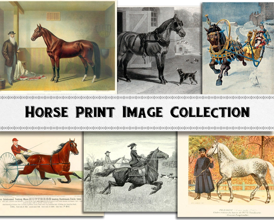Vintage Horse Print Images / Equestrian Images / Commercial - Etsy
