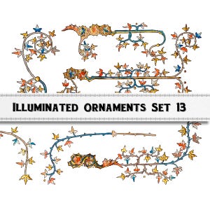 May include: A set of 13 illuminated ornaments featuring intricate, stylised floral designs in shades of blue, red, yellow, and green. The ornaments are perfect for adding a touch of medieval elegance to any project.