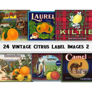 Citrus Label Images Set 2 / Victorian Ephemera / Commercial Use / Digital Download