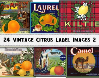 Op de afbeelding: Een verzameling vintage citrusvruchtenlabels. De labels bevatten illustraties van sinaasappels, citroenen en grapefruit, evenals tekst met merknamen, productbeschrijvingen en bedrijfsinformatie. De labels zijn gedrukt op verschillende papiersoorten en hebben een verscheidenheid aan kleuren en ontwerpen.
