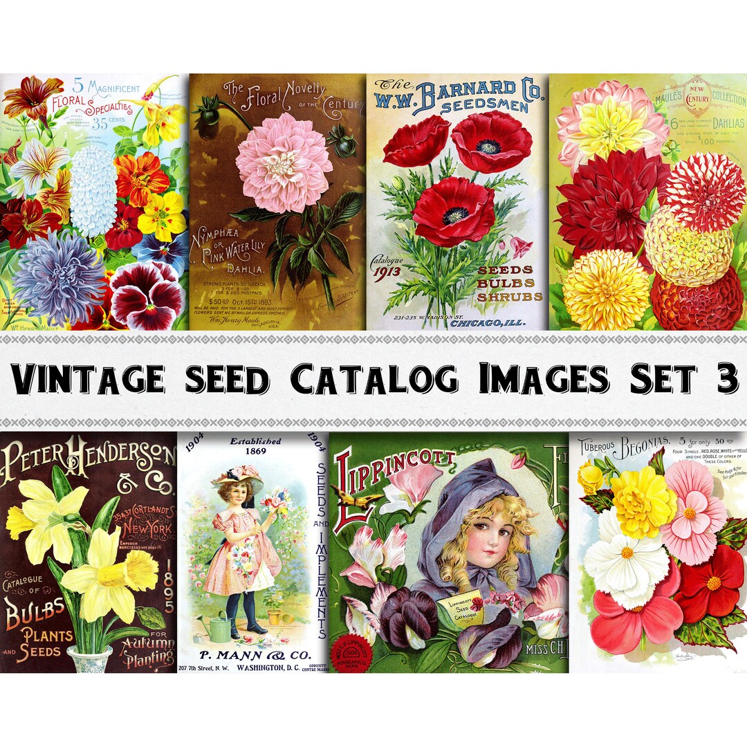 Garden Seed Catalog Images Set 3 / Digital Download / Commercial Use