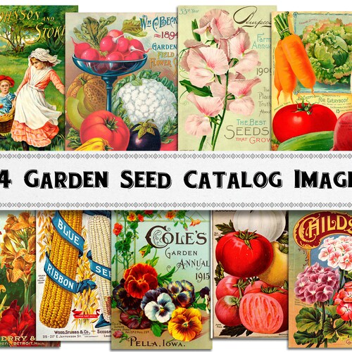 Garden Seed Catalog Images Set 2 / Digital Download / Etsy