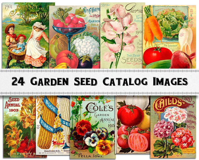 Garden Seed Catalog Images / Digital Download / Commercial Use Etsy