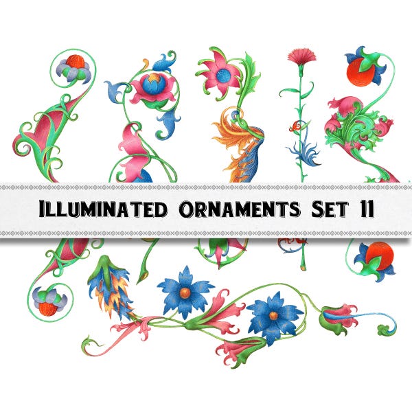 Adornos florales medievales de enredadera: Clipart de manuscrito iluminado (Descarga digital)
