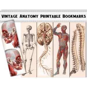 Vintage Anatomy Printable Bookmarks / Digital Download / Medical Gift