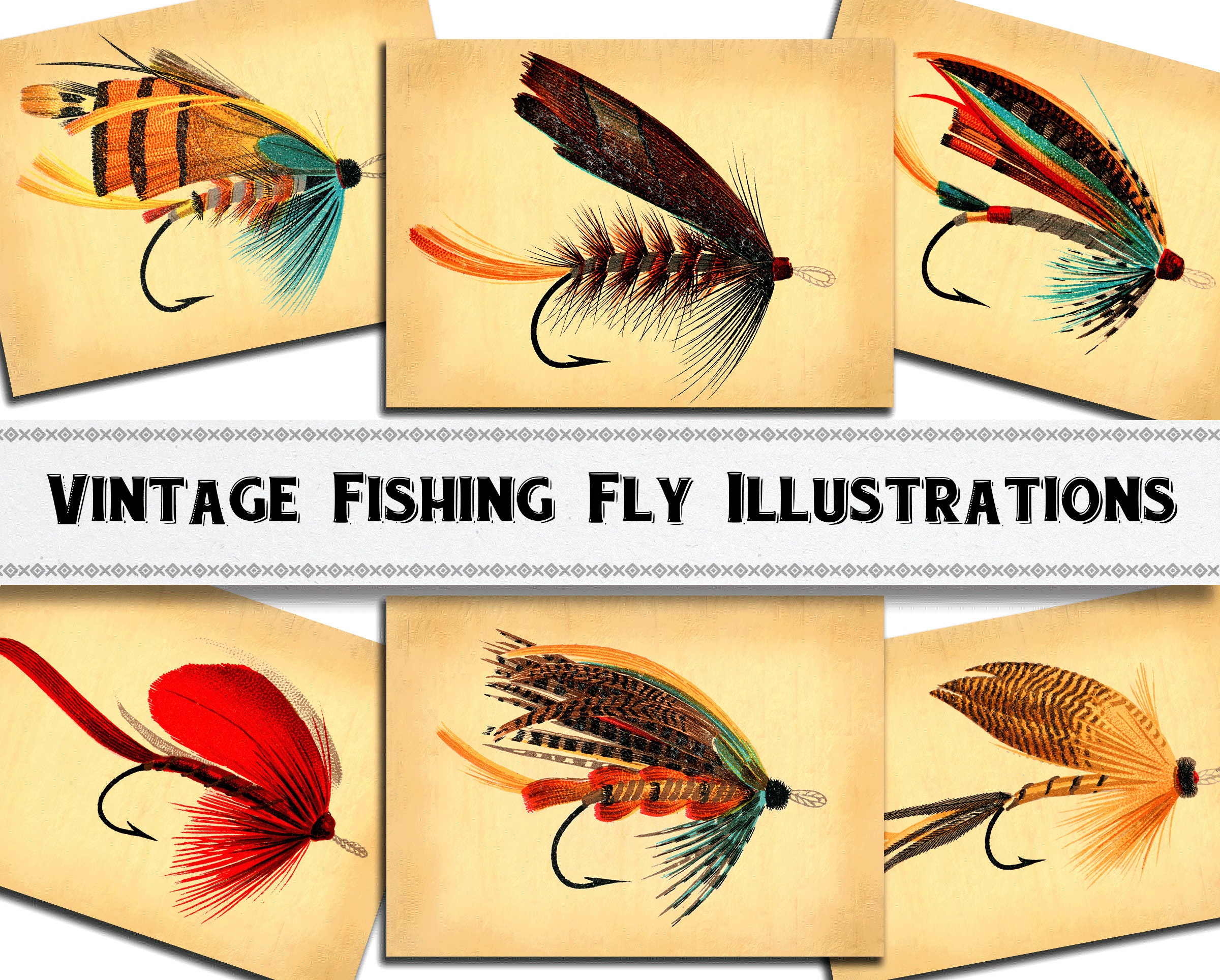 Vintage Fishing Fly Illustrations / Digital Download / | Etsy