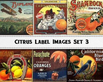 Op de afbeelding: Een verzameling vintage citrus fruitkistlabels. De labels bevatten kleurrijke illustraties van sinaasappels, citroenen en een dubbeldekker. De tekst op de labels omvat de merknamen "Shamrock", "Carnival", "Parachute", "Good Luck" en "California Blue Bird".