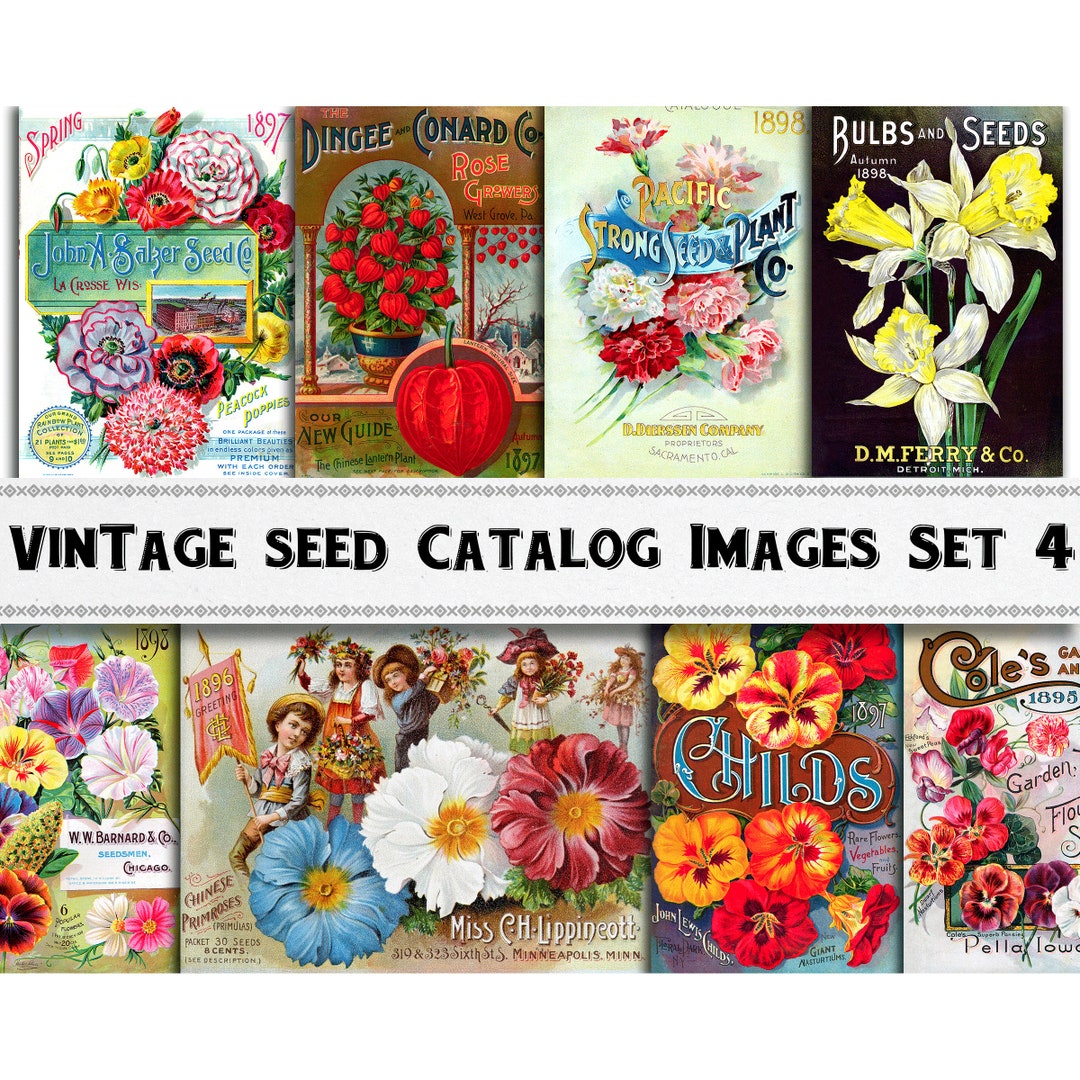 Garden Seed Catalog Images Set 4 / Digital Download / Commercial Use