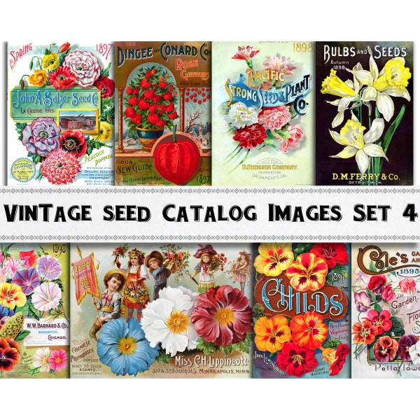 Garden Seed Catalog Images Set 4 / Digital Download / Commercial Use / Vintage Flower Clipart