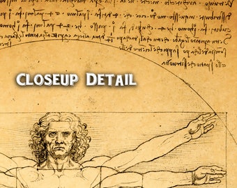 Download digitale dell'uomo vitruviano Risoluzione ultra alta