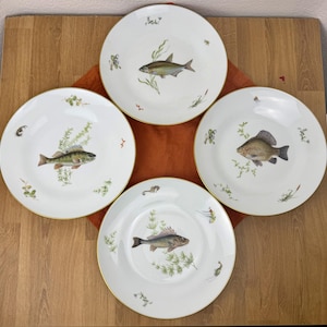 May include: A set of four white ceramic plates with gold rims, each featuring a detailed illustration of a different freshwater fish surrounded by aquatic plants and small insects, arranged in a circular pattern on a wooden surface.