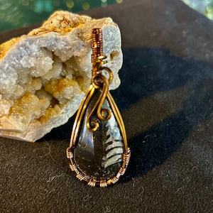 Orthoceras Fossil wire wrapped Pendant