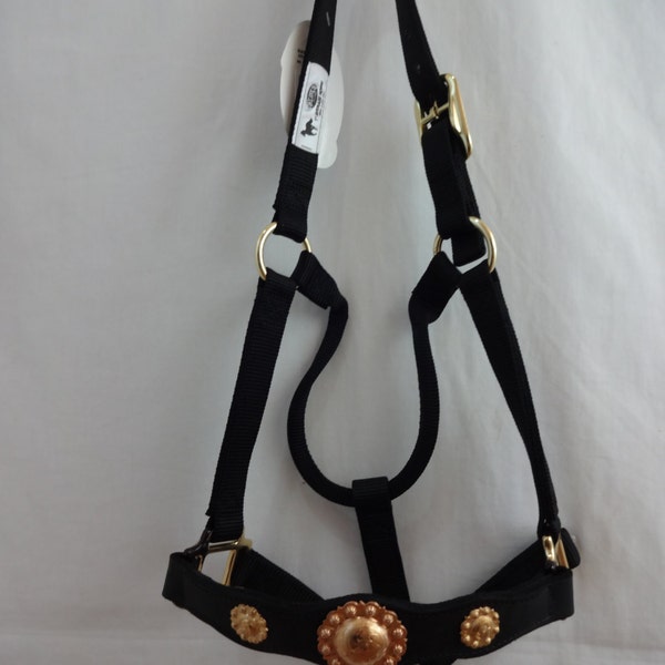 Bronc Halter Leather Noseband Black Nylon Yuma Berry Brass Hansen Conchos Horse West Coast Tack Custom