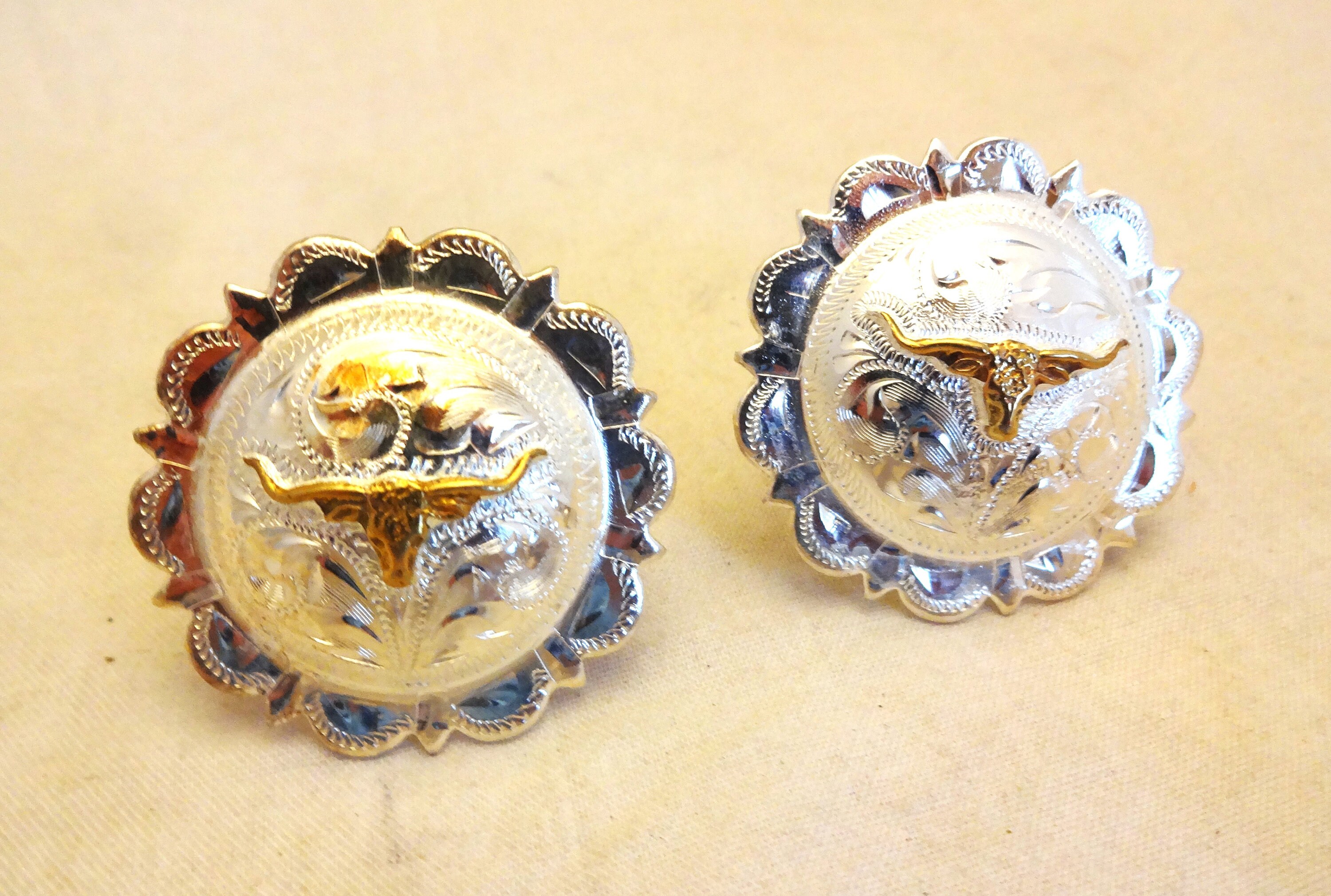 Bridon - Têtière En Cuir Vieilli Avec Des Conchos En Argent Ancien, SS