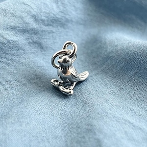 Kleiner 3D-Vogelanhänger aus Sterlingsilber, Geburtstagsgeschenk für Mutter, zierliches Erinnerungsstück im Cottagecore-Stil, SS00162PD
