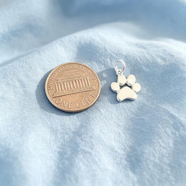 Dog Paw Print Charm Cat Pendant Pet Loss Gift Inspiring Furry Love SS00192PD