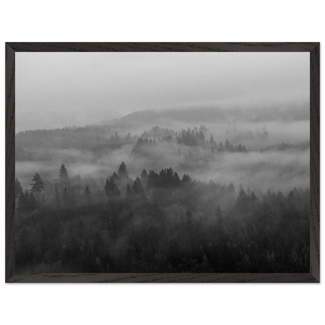 Fog Landscape Black and White Photography Framed Matte Print - Etsy