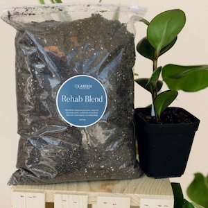 May include: A clear plastic bag filled with dark brown potting soil labeled Garden Collective Rehab Blend 1 gal bag, featuring a round blue sticker with white text, positioned next to a small green plant in a black square plastic pot.