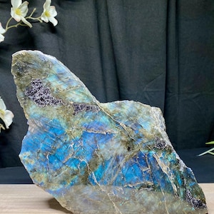 Peut inclure: Une grande pierre de labradorite brute avec une irisation bleue, verte et grise saisissante. La pierre naturelle a une surface rugueuse et texturée avec des inclusions sombres. La pierre est présentée sur une surface en bois avec un fond sombre et des fleurs blanches.