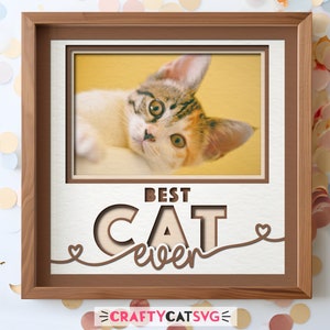 Arquivos SVG de caixa de sombra de gato para projetos Cricut, presente de mãe de cachorro personalizado feito à mão, moldura de foto de arquivo de corte de papel em camadas DIY Pet Memorial 3d SVG