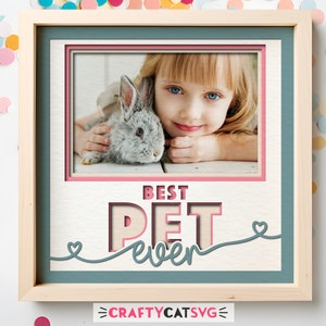 Fichiers SVG Shadow Box Photo pour animaux de compagnie pour projets Cricut, cadeau personnalisé fait main pour amoureux des animaux de compagnie, fichier 3D SVG commémoratif des animaux de compagnie bricolage en couches en papier découpé