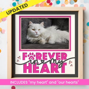 May include: A square wooden frame containing a photograph of a long-haired white cat resting on a dark surface. Below the photo, the text "FOREVER IN MY HEART" is displayed in bold pink letters with a paw print and small heart accents.