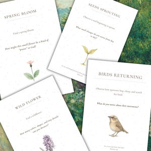 May include: A collection of four white cards with watercolor illustrations and text. The cards feature images of a flower, sprouting seeds, a bird, and a wildflower. Each card has a title and questions for observation.