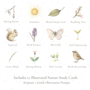 May include: A set of 12 illustrated nature study cards featuring watercolor images of spring elements like a squirrel, butterfly, and budding tree. The cards include the text "Spring Rains", "Sunshine", and "Birds Returning". The cards also include the text "Includes 12 Illustrated Nature Study Cards".